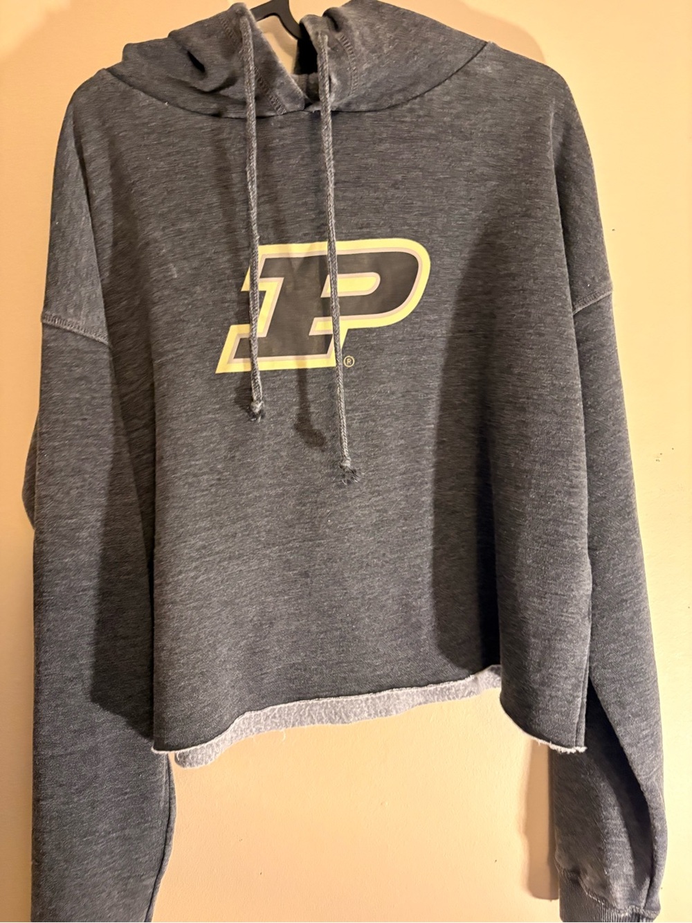Purdue University Gray Cropped Hoodie Sweater chicka-d nwt